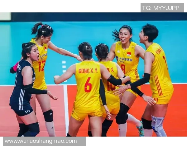 武汉排球队实力强劲荣登全国排球实力排行榜第四名