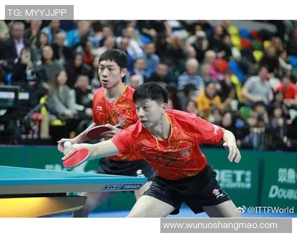 武汉乒乓球队在杯赛中的团队协作表现分析与启示 武汉乒乓球队在杯赛中的团队协作表现分析与启示