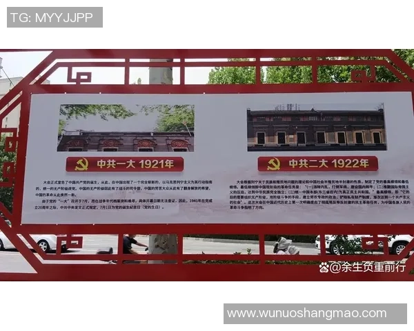 武汉羽毛球队的辉煌征程与大满贯梦想的追逐之路