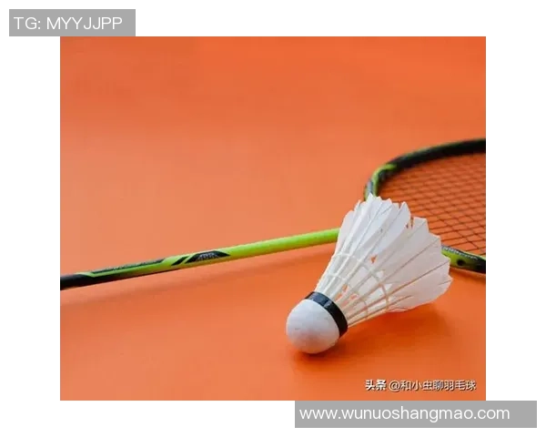 羽毛球新手攻略:耐力入门指南 羽毛球新手攻略:耐力入门指南