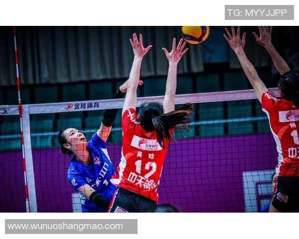 挑战赛特别报道：武汉排球队的转型之路