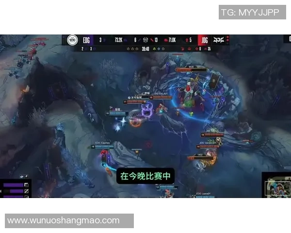 英雄联盟专题：聚焦JDG的耐力