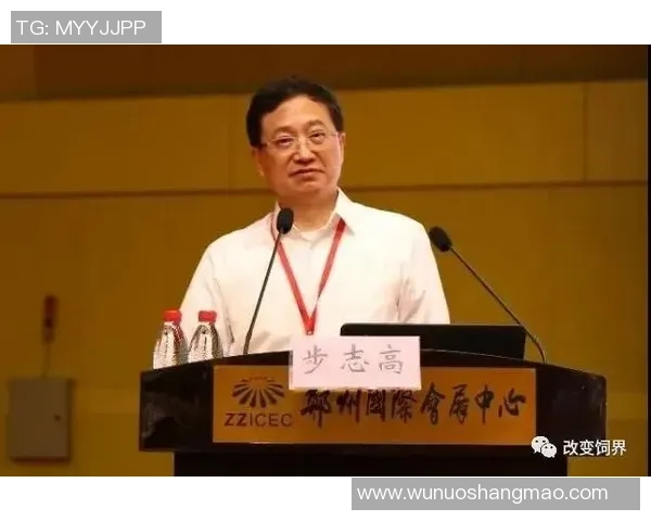 重磅专题：广州篮球队的包夹革新