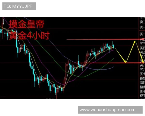 独家分析：V5的状态对比