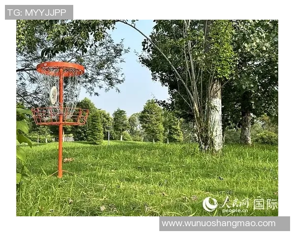 2026飞盘意识排行榜：成都飞盘队位居第4名